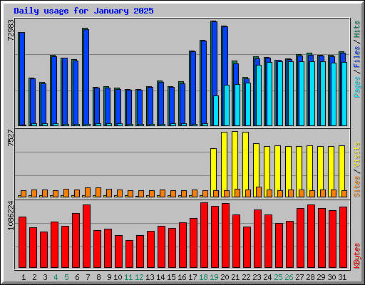 Daily usage for January 2025