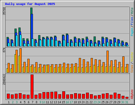 Daily usage for August 2025