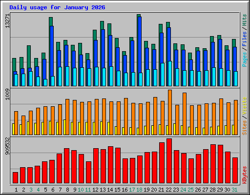 Daily usage for January 2026