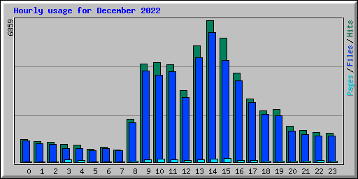 Hourly usage for December 2022