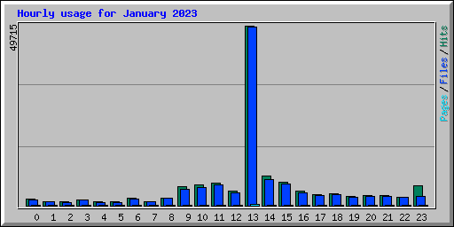 Hourly usage for January 2023