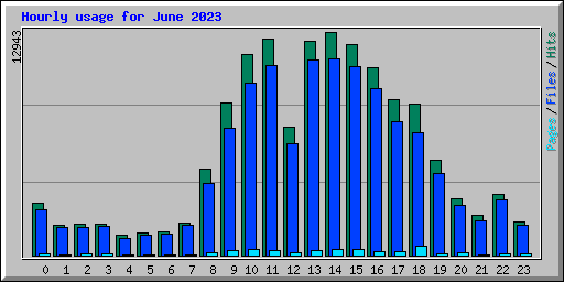 Hourly usage for June 2023