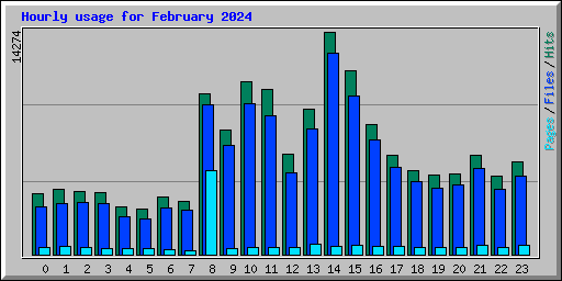 Hourly usage for February 2024