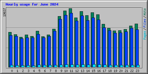 Hourly usage for June 2024