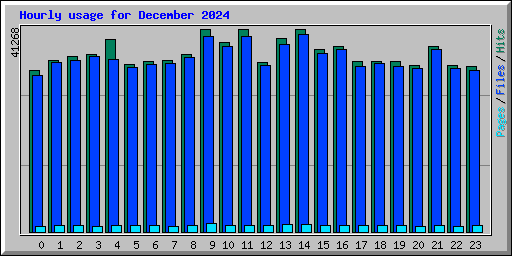 Hourly usage for December 2024