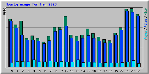 Hourly usage for May 2025