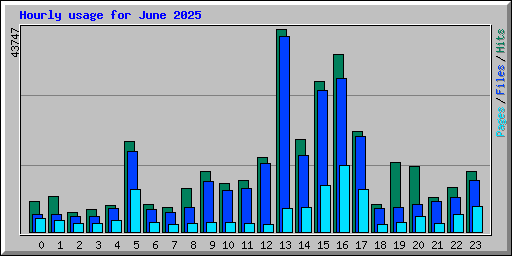 Hourly usage for June 2025