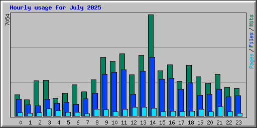 Hourly usage for July 2025