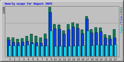 Hourly usage for August 2025