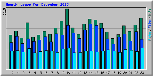Hourly usage for December 2025