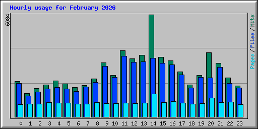 Hourly usage for February 2026